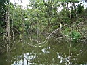 2005-07-18 003.JPG